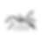 Hawks Shadow.png