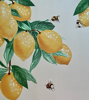 lemons.jpeg