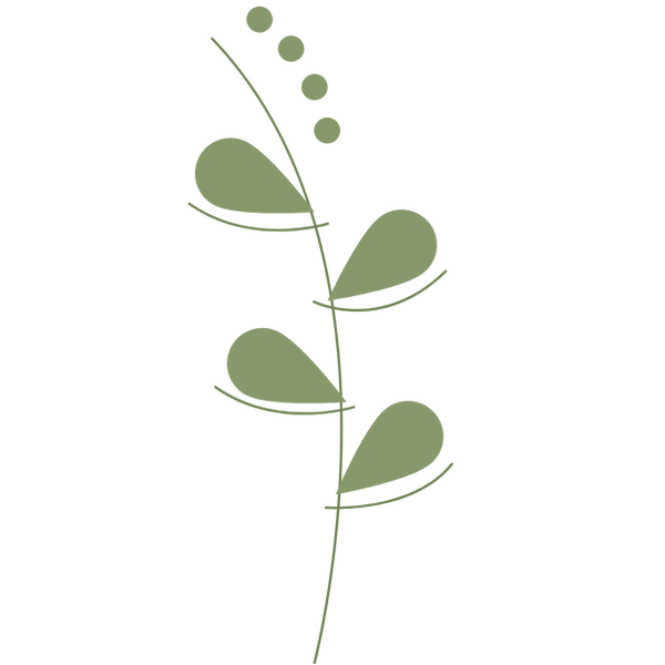 Logos (2).png