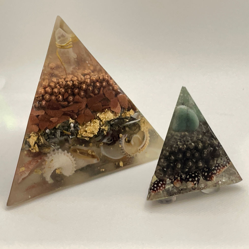 Photo Feb 26, 3 54 25 PM.jpg