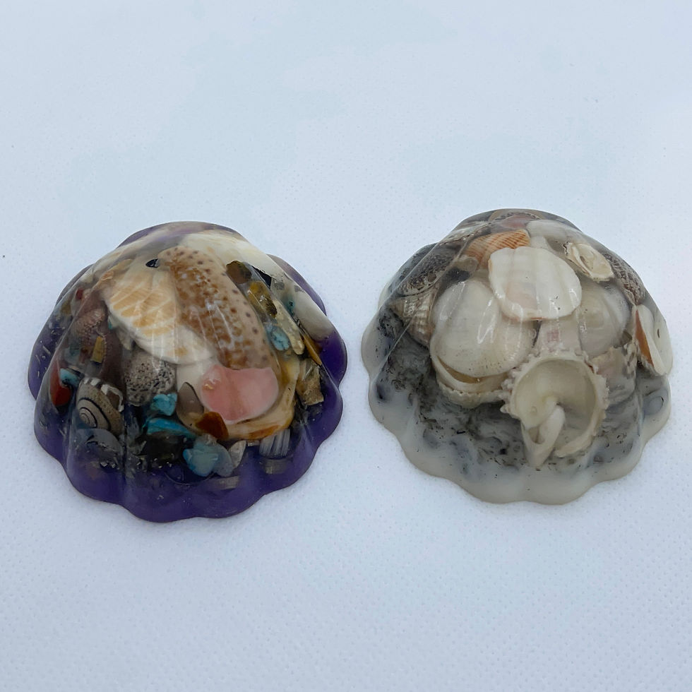 Photo Feb 26, 4 07 26 PM.jpg