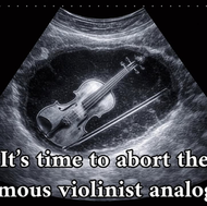 The famous analogy of the famous violinist