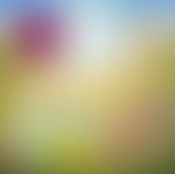 Song - Bring On The Eggs