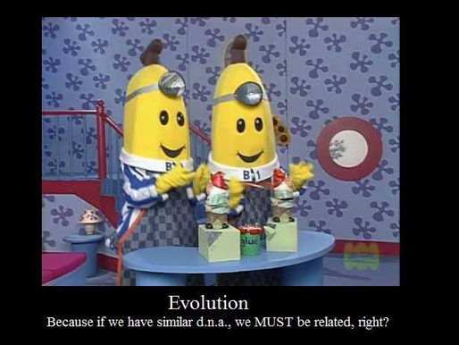 Are you half banana?