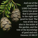 Whence commeth the deadly tree?
