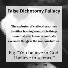 What is the false dichotomy fallacy? (A.K.A. the black and white fallacy)