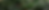 Nature_August-21