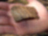 Pottery shard with textured pattern held in a palm