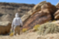Person looking at a zigzag petroglyph on a desert rock.