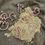 縮圖：Baby Dinosaur Eco Cutter ™ Includes: Set of 8 Mini Cutters