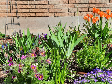 Announcements for the week of May 10, 2021