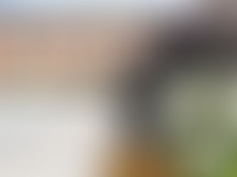 Announcements for the week of July 22, 2024