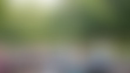 A crowd of people enjoying a Lakeside show