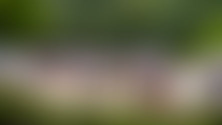 Crowd gathered at outdoor performance