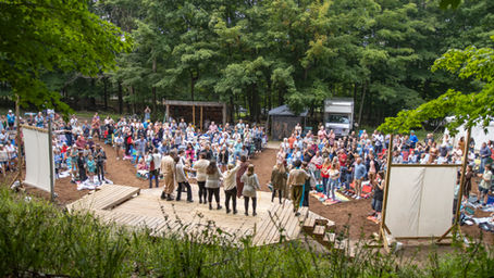 Crowd gathered at outdoor performance