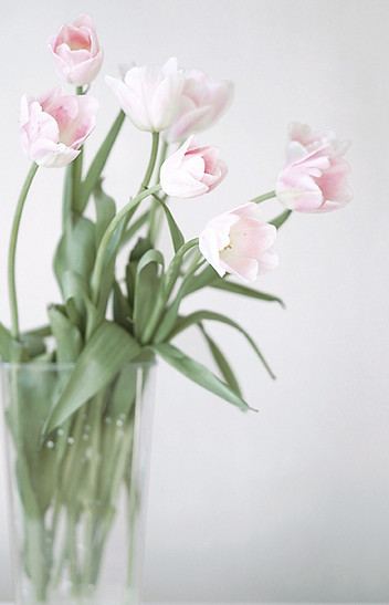 27 素提插頁-1.jpg