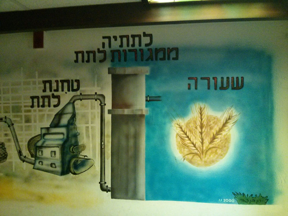 ייצור בירה-שלב 1