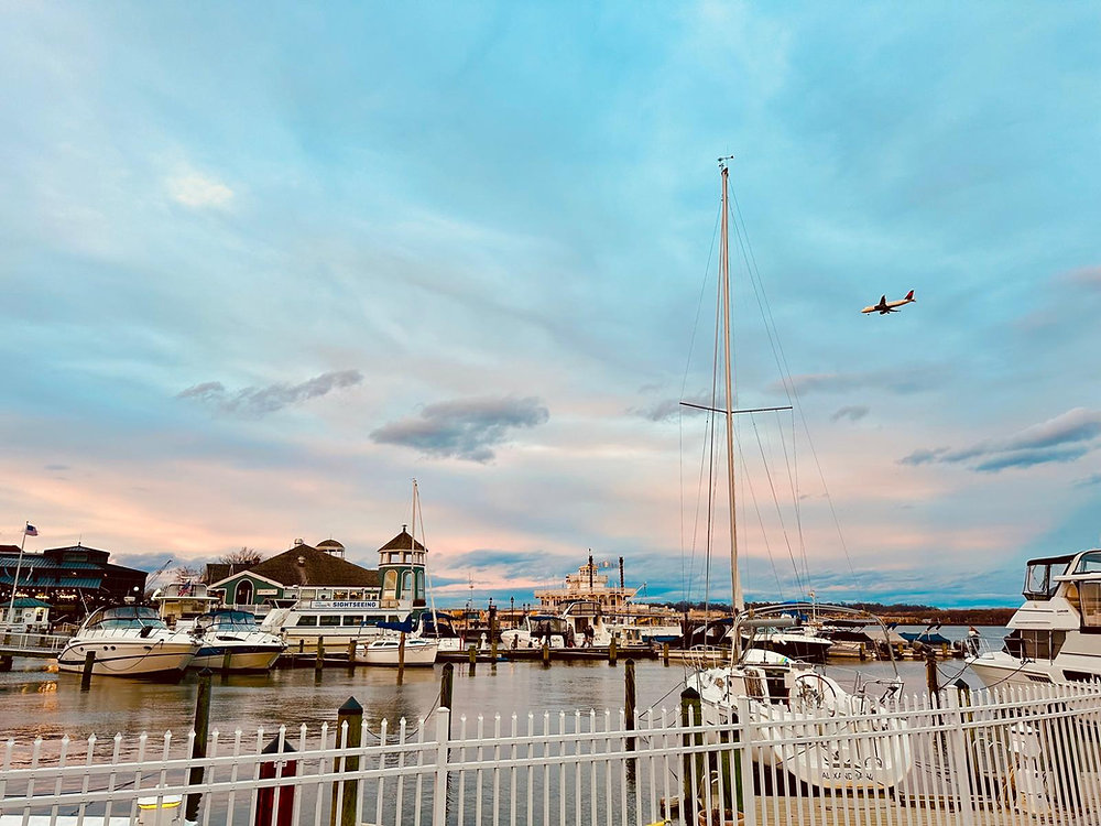 Top Events and Activities Happening Around Alexandria VA this Week