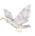 Pájaro