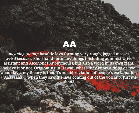 The Word of The Week