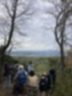rs_IMG_3304