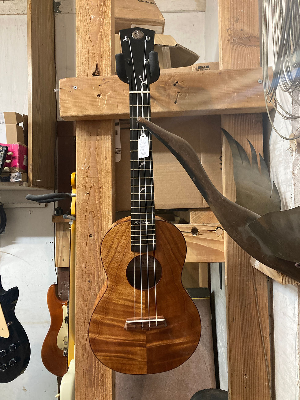 OTHER STRINGED INSTRUMENTS | Real Guitars