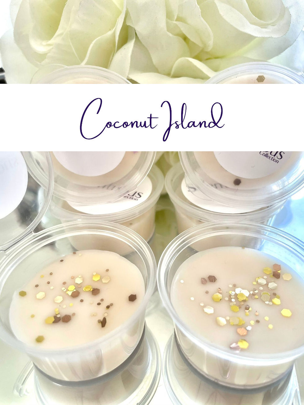 Sample Pot-Coconut Island