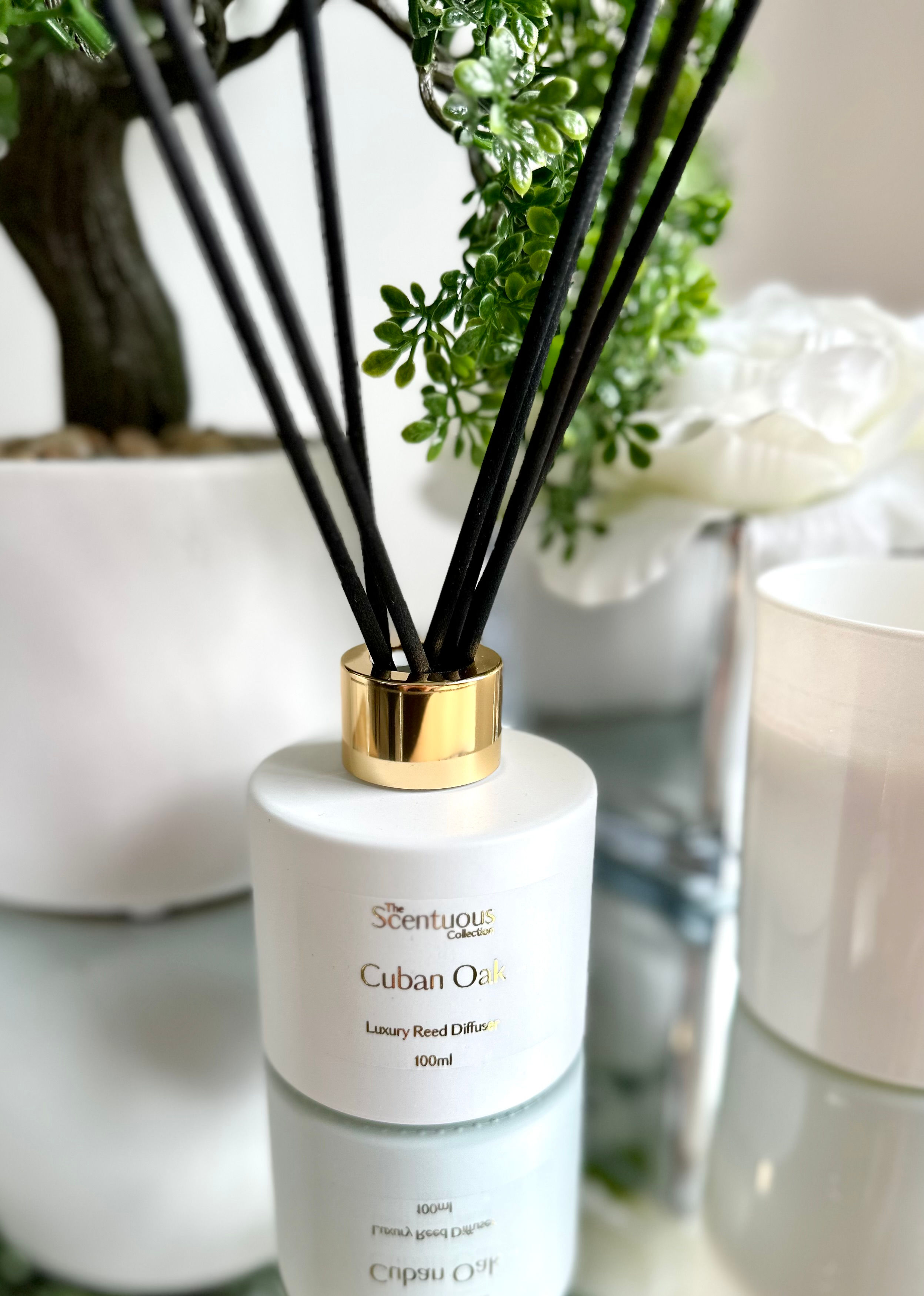 Cuban Oak Reed Diffuser