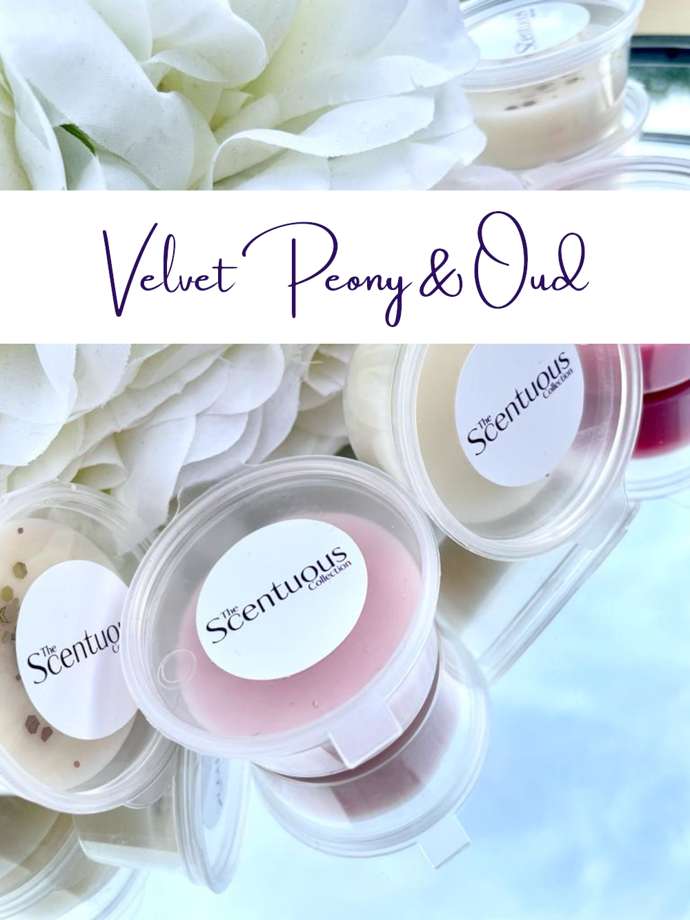 Sample Pot- Velvet Peony & Oud