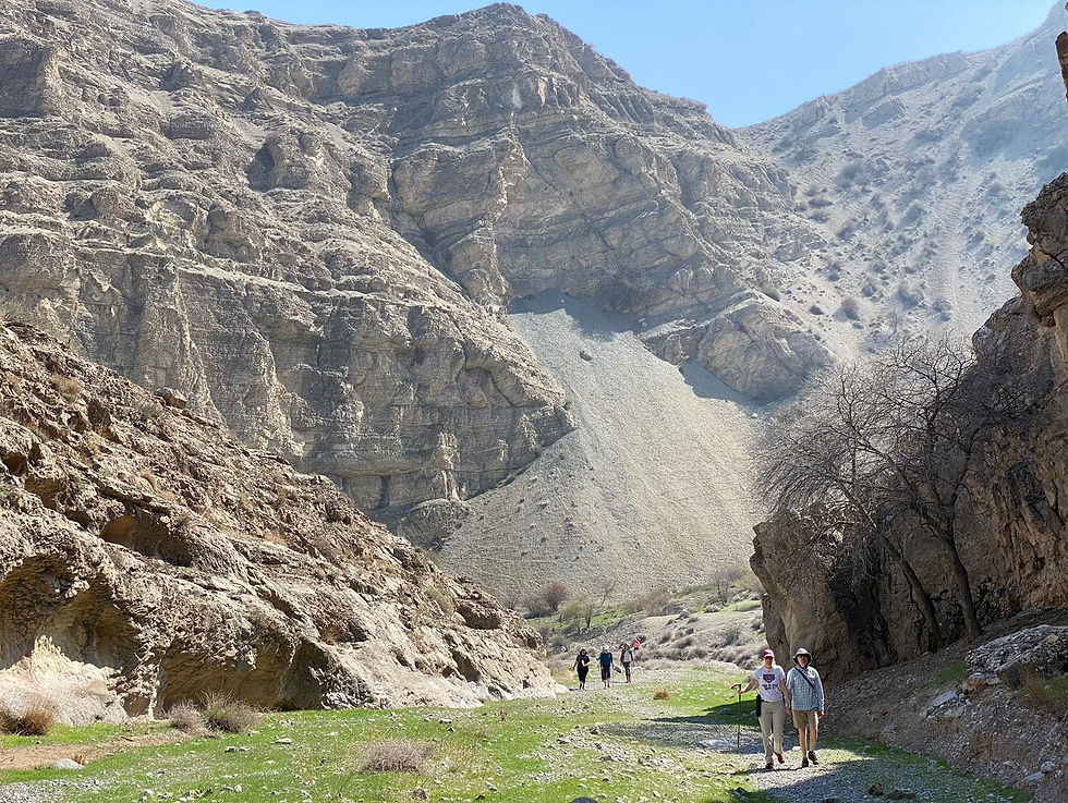 People hiking in mountains
