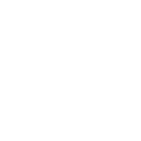 identity.png