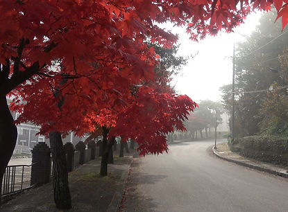 Korea Taoist temple