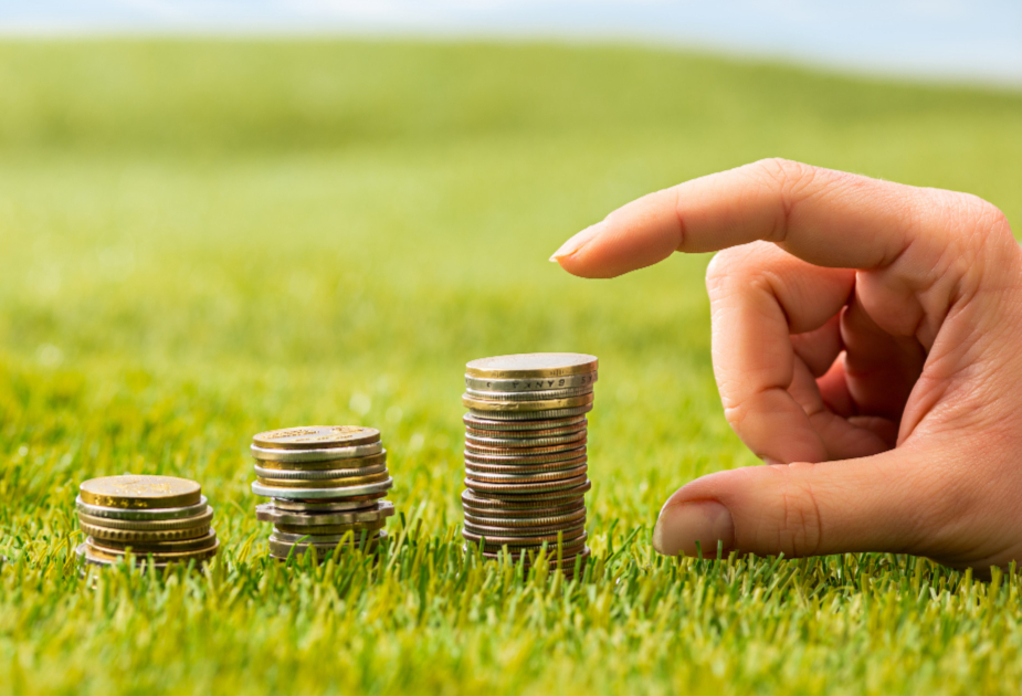 Payroll coin image.jpg