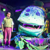 Little Shop of Horrors - Derby Theatre Review