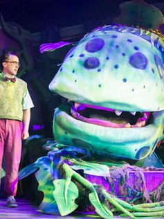 Little Shop of Horrors - Derby Theatre Review