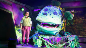 Little Shop of Horrors - Derby Theatre Review