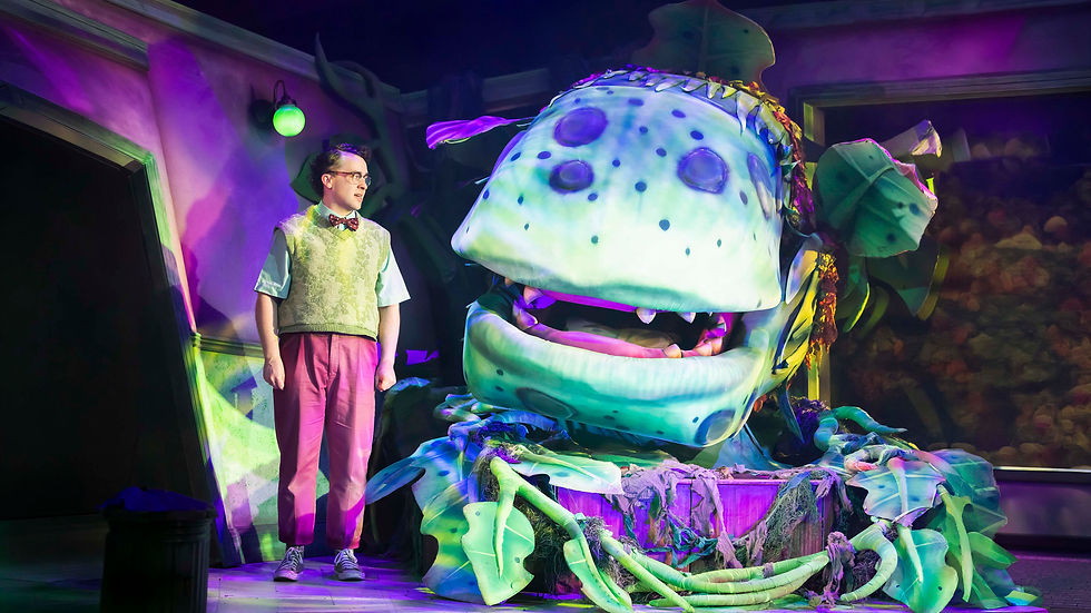 Little Shop of Horrors - Derby Theatre Review