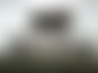 'Animal Farm' Review