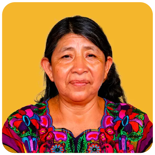 Artboard 1 copy 3.webp