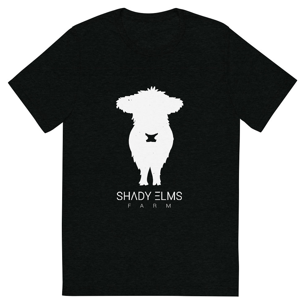 Short sleeve t-shirt