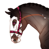 image-2.png