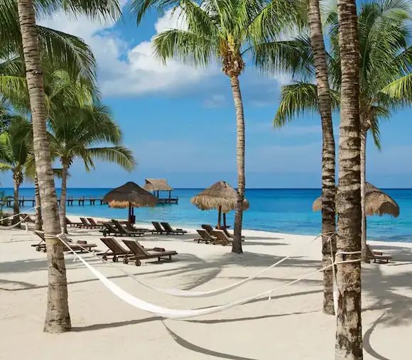 cozumel secrets aura​
