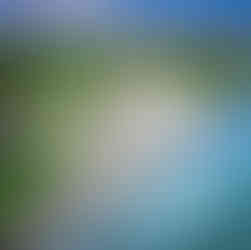 corales golf course puntacana resort & club, coral oaks golf course, golf courses in dominican republic punta cana, golf courses near breathless punta cana, corales punta cana golf, all inclusive golf resorts punta cana, golf courses in punta cana dominican republic,