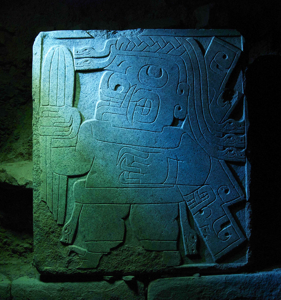By Marcelo Rodríguez Escudero - Own work, CC BY-SA 4.0, https://commons.wikimedia.org/w/index.php?curid=53397960