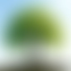 Driving Sustainable Leaderhsip: Top Trends Shaping 2026!