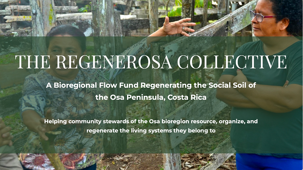 A Bioregional Financing Framework: Regenerating the Osa from the Ground Up