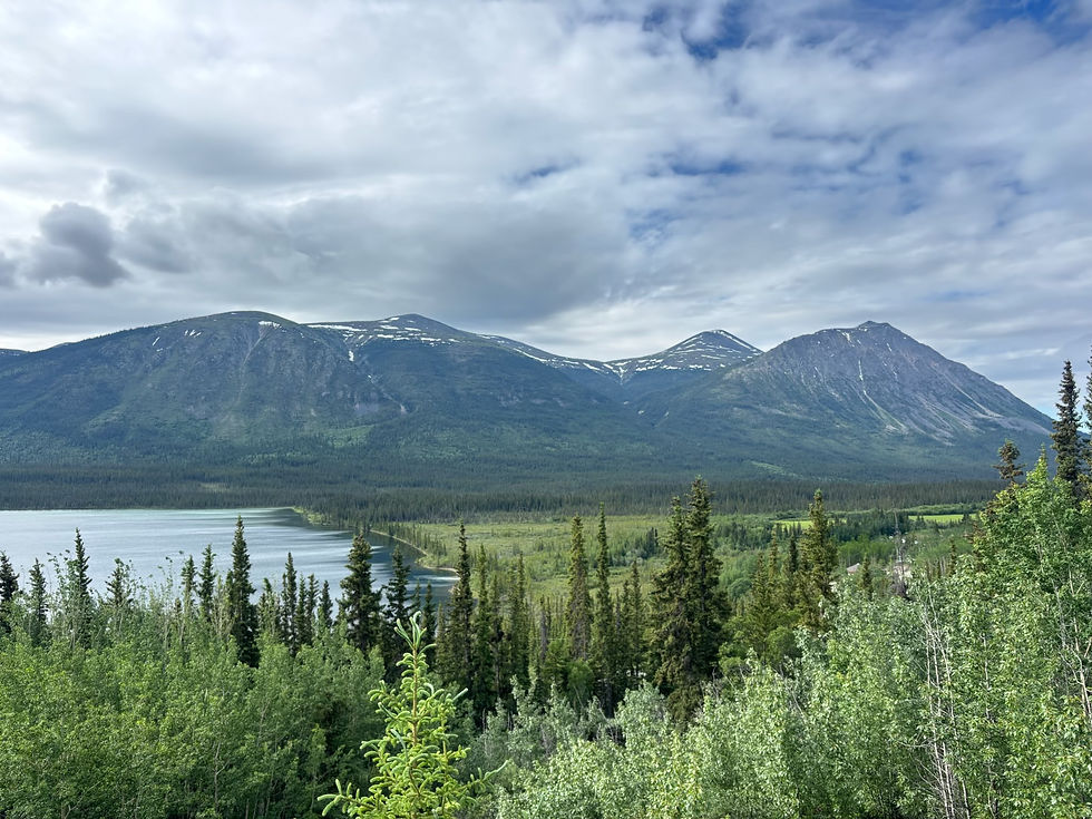 Thumbnail: ALIGNED in the Wild | Yukon Retreat 2027