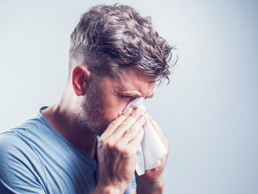 How to Allergy-Proof Your Home