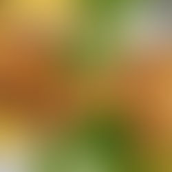 What’s Cooking? : A Taste from Around the World