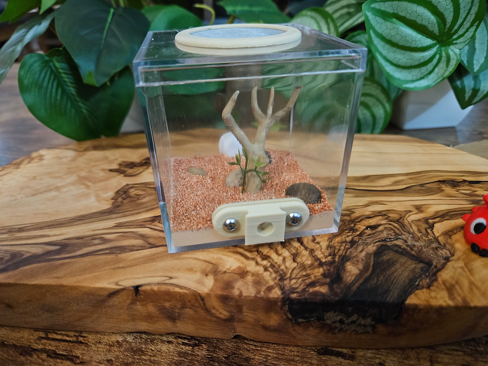 Miniature : Module d'aire de chasse "Moyenne"